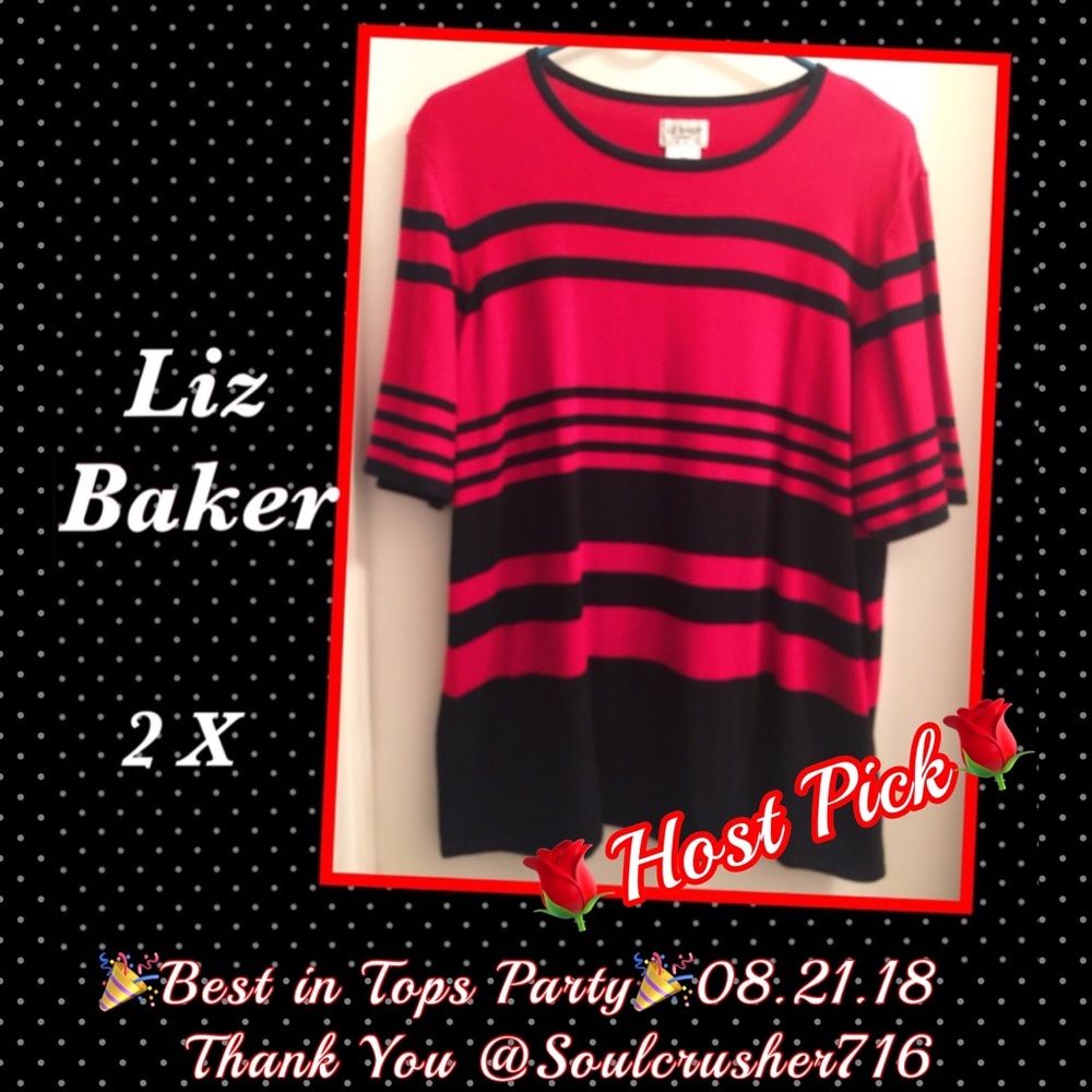 Liz Baker Short Sleeve SweaterTop•2X - Picture 1 of 8
